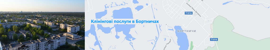 Клінінг в Бортничах