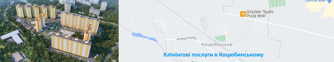 Прибирання в Коцюбинському Клінінг в Коцюбинському