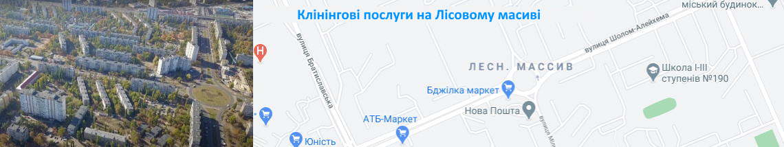 Прибирання на Лісовому масиві Клінінг на Лісовому