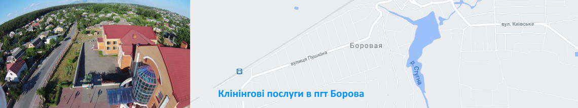 Прибирання в Боровій Клінінгові послуги. Борова