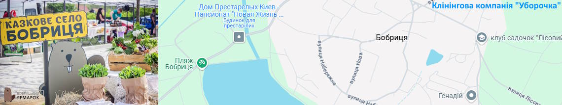 Клінінг Бобриця