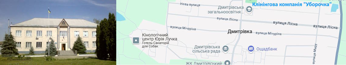 Клінінг Дмитрівка