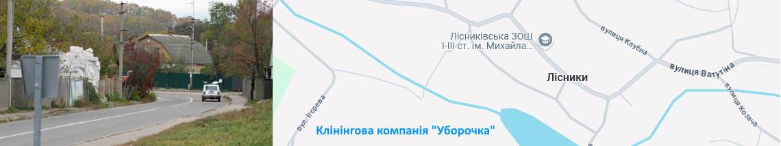 Клінінг Лісники