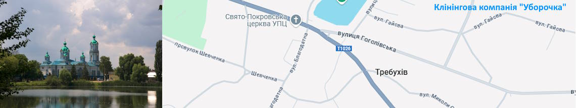 Клінінг Требухів