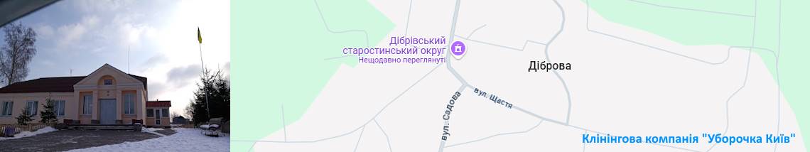 Клінінг в селі Діброва