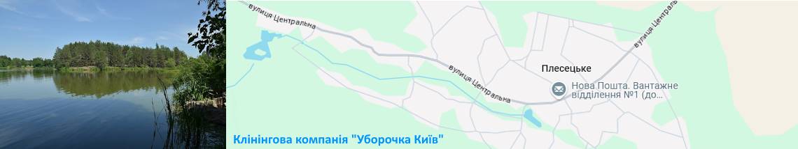 Клінінг в селі Плесецьке