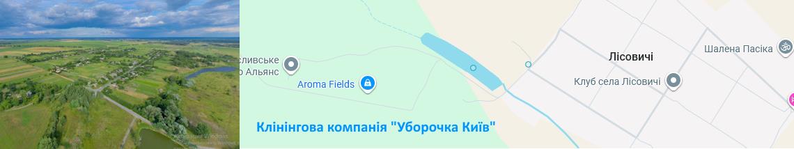 Клінінг Лісовичі