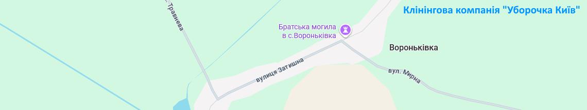 Клінінг Вороньківка